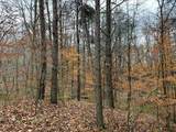 0-(Woods Turkey Run  Dutch Ridge Road - Photo 30