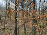 0-(Woods Turkey Run  Dutch Ridge Road - Photo 31