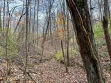0-(Woods Turkey Run  Dutch Ridge Road - Photo 32