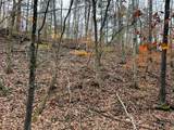 0-(Woods Turkey Run  Dutch Ridge Road - Photo 34