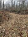 0-lot #5 Skidmore Hollow Road - Photo 39