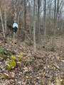0-lot #5 Skidmore Hollow Road - Photo 42