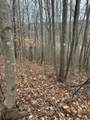0-lot #5 Skidmore Hollow Road - Photo 46