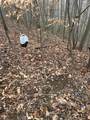0-lot #5 Skidmore Hollow Road - Photo 47