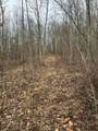 0-lot #5 Skidmore Hollow Road - Photo 49