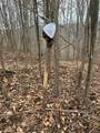 0-lot #5 Skidmore Hollow Road - Photo 50