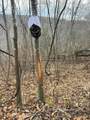 0-lot #5 Skidmore Hollow Road - Photo 51