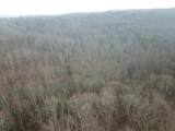 12001 Buck Run Road - Photo 10
