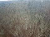 12001 Buck Run Road - Photo 8