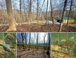 201-(Tract 3 Barn Pi Pike Lake Rd Road - Photo 1