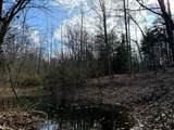 0-(Woods Turkey Run  Dutch Ridge Road - Photo 11