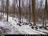 0-(Woods Turkey Run  Dutch Ridge Road - Photo 9