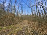 0 Side Geer Mill Road - Photo 12