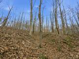 0 Side Geer Mill Road - Photo 16