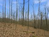 0 Side Geer Mill Road - Photo 19