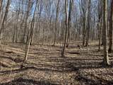 7471-(Tract 4 at Sha Township Rd 215-A - Photo 4