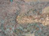 0 County Road 213 - Photo 6