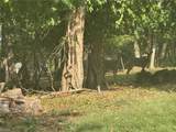 0 Ray- Lot B Drive - Photo 3