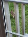 4042-57A Blendon Point Drive - Photo 44