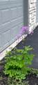 4042-57A Blendon Point Drive - Photo 45