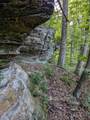 12683 Jack Run Road - Photo 35