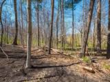876 Memories Lane - Photo 58