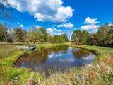 14555 Bradford Drive - Photo 69