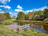 14555 Bradford Drive - Photo 70