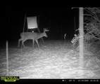 323 Bronx Corner Road - Photo 48