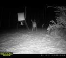 323 Bronx Corner Road - Photo 49