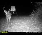 323 Bronx Corner Road - Photo 50