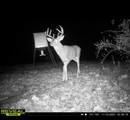 323 Bronx Corner Road - Photo 52