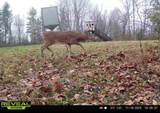 323 Bronx Corner Road - Photo 54