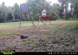 323 Bronx Corner Road - Photo 55
