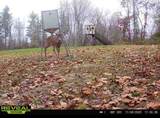 323 Bronx Corner Road - Photo 56