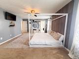 568 Stone Shadow Drive - Photo 19