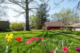 249 Locust Street - Photo 41
