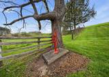 5123 State Route 13 - Photo 75