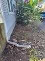 246 Pearl Avenue - Photo 21