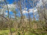 67230 Creek Road - Photo 72