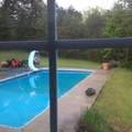3732 Borland Road - Photo 33