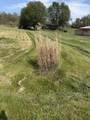 37406 New Lima Road - Photo 10