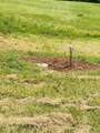 37406 New Lima Road - Photo 12