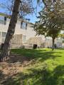 5368 Coral Berry Drive - Photo 14
