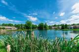 6101 Blendon Chase Drive - Photo 35