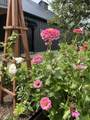 7822 Morris Road - Photo 22