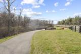 10529 Calla Lily Way - Photo 68