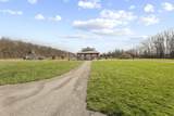 10529 Calla Lily Way - Photo 82