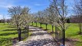 7341 Hollow Road - Photo 7