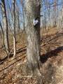 1020-C70 Hunting Run Road - Photo 27